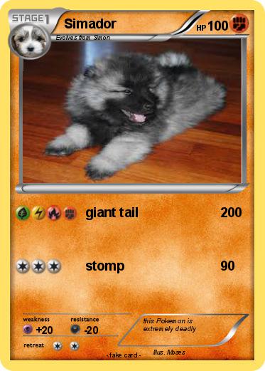 Pokemon Simador
