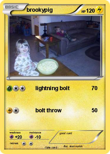 Pokemon brookypig