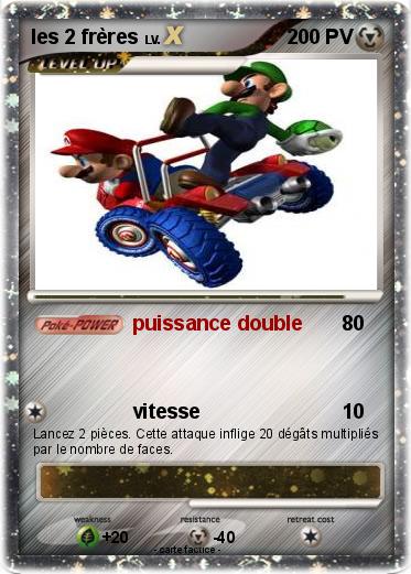 Pokemon les 2 frères