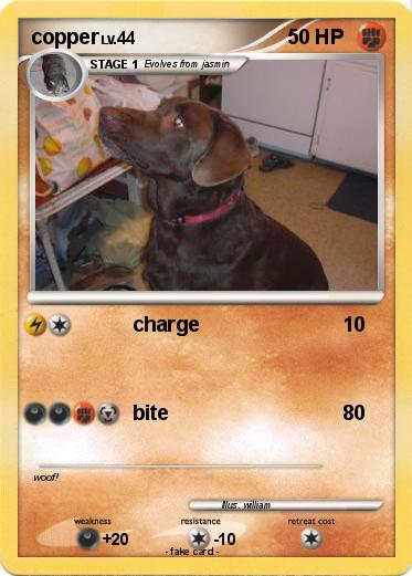 Pokemon copper