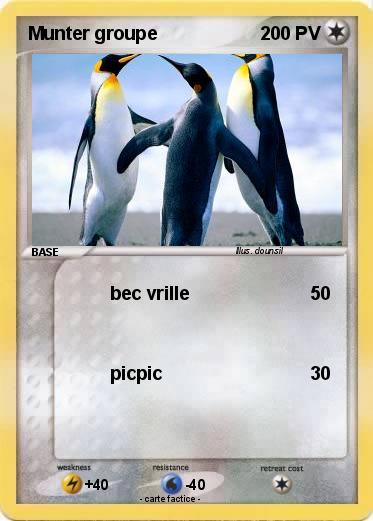 Pokemon Munter groupe