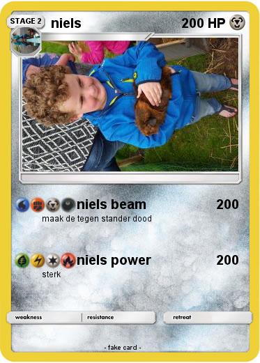Pokemon niels