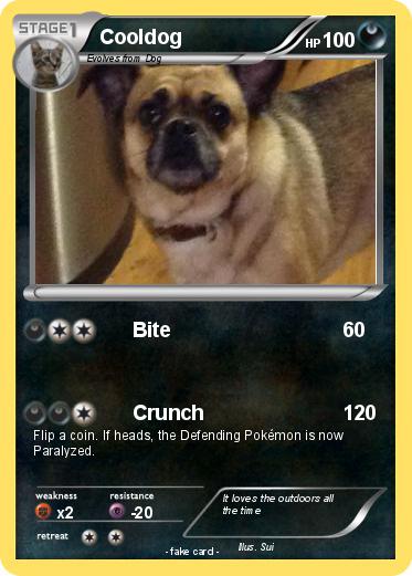 Pokemon Cooldog
