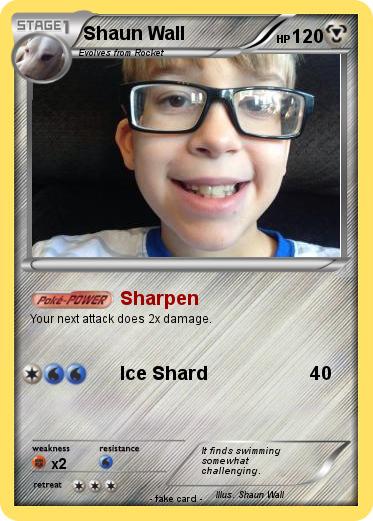 Pokemon Shaun Wall