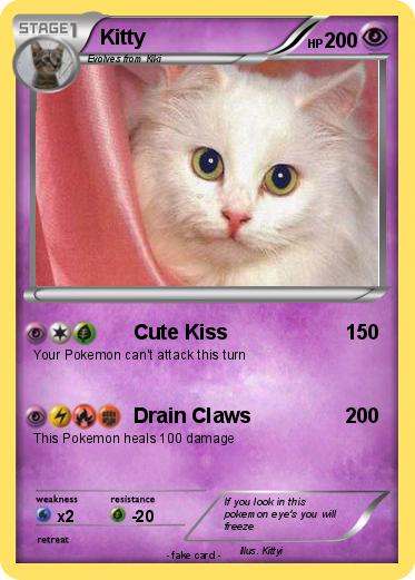 Pokemon Kitty