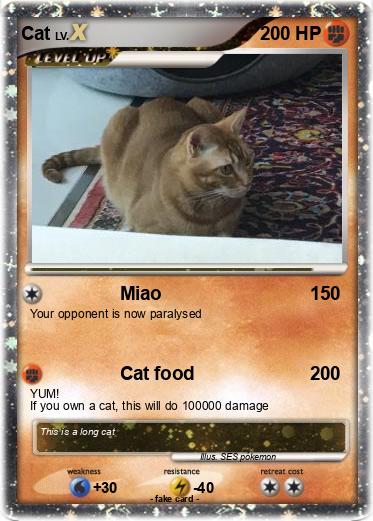 Pokemon Cat