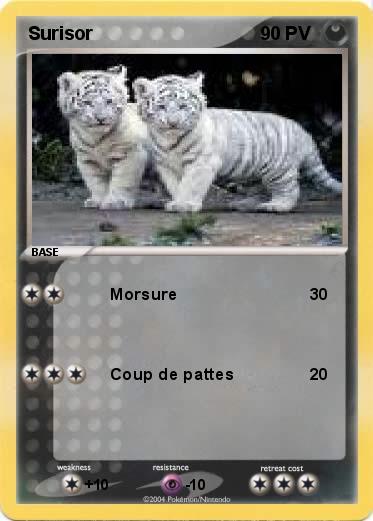 Pokemon Surisor