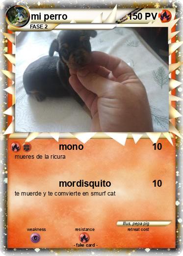 Pokemon mi perro