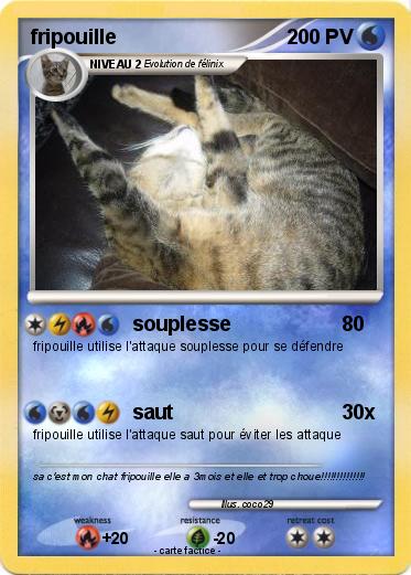 Pokemon fripouille