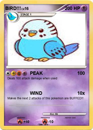 Pokemon BIRD!!!