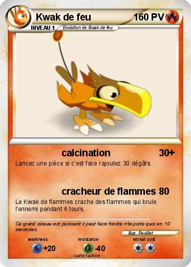 Pokemon Kwak de feu