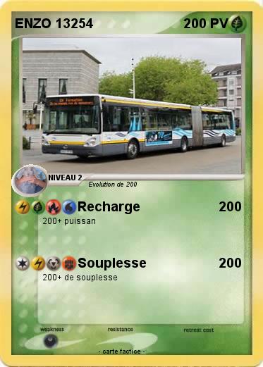 Pokemon ENZO 13254