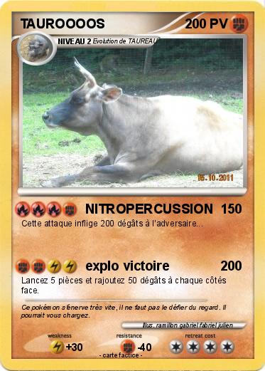 Pokemon TAUROOOOS
