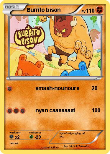 Pokemon Burrito bison
