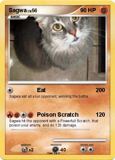 Pokemon Sagwa