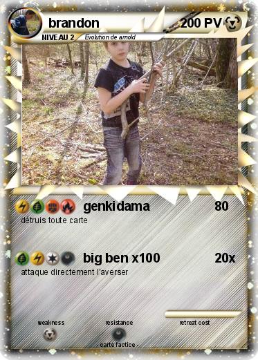 Pokemon brandon