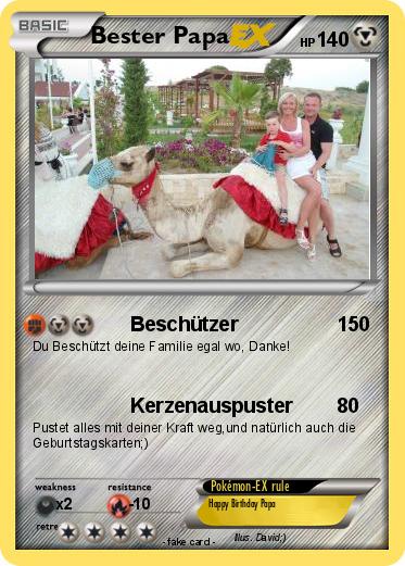Pokemon Bester Papa