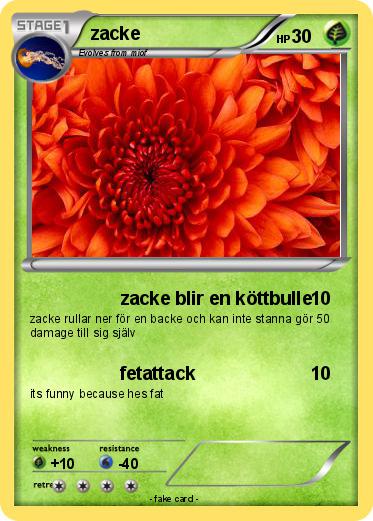 Pokemon zacke