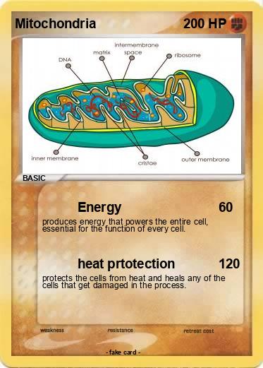 Pokemon Mitochondria