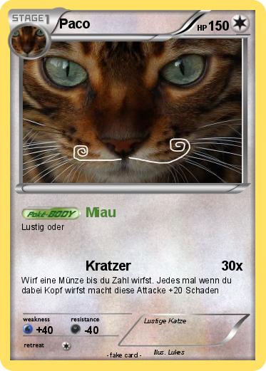 Pokemon Paco