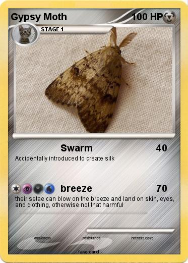 Pokemon Gypsy Moth