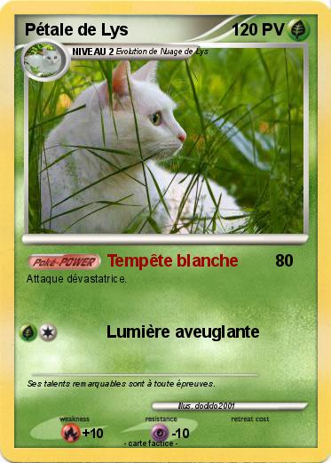Pokemon Pétale de Lys