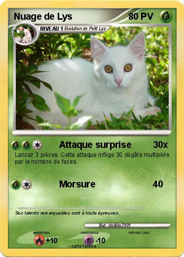 Pokemon Nuage de Lys