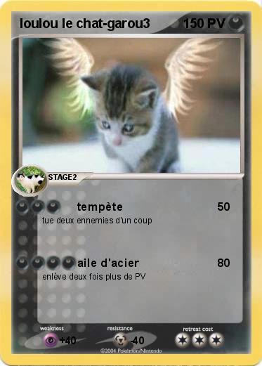 Pokemon loulou le chat-garou3