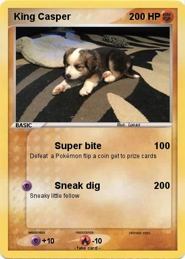 Pokemon King Casper
