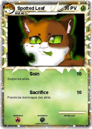 Pokemon Spotted Leaf