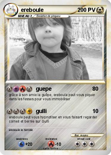 Pokemon ereboule