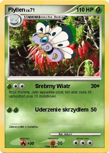 Pokemon Flyllen