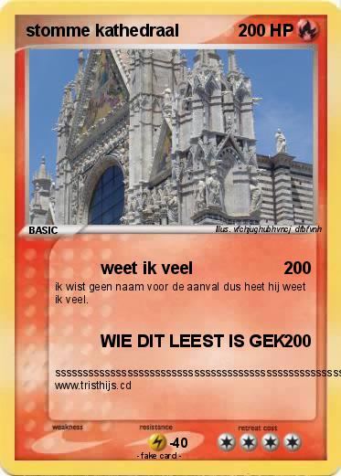 Pokemon stomme kathedraal