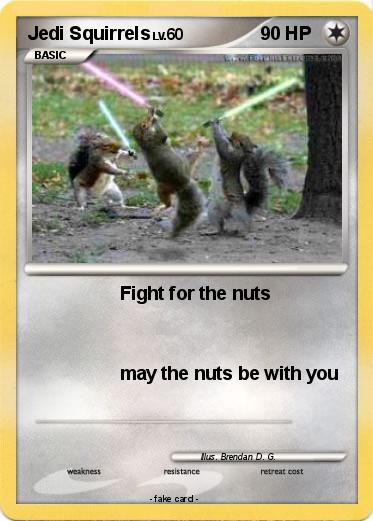 Pokemon Jedi Squirrels