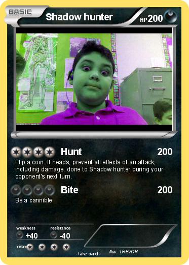 Pokemon Shadow hunter
