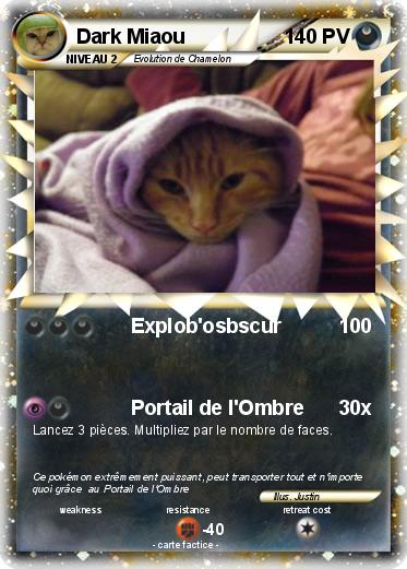 Pokemon Dark Miaou