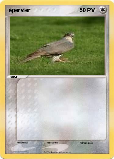 Pokemon épervier