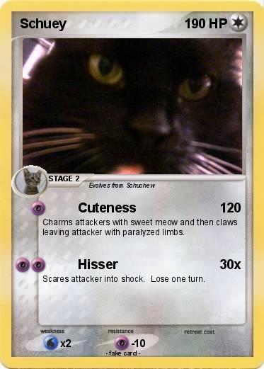 Pokemon Schuey