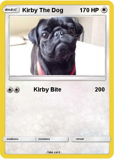 Pokemon Kirby The Dog