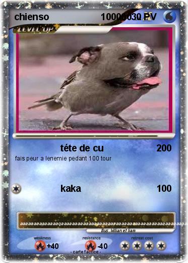 Pokemon chienso                    100000