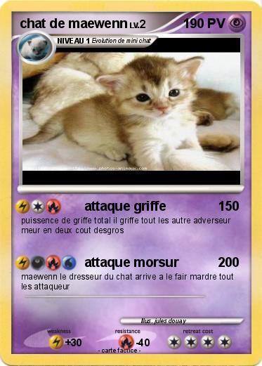 Pokemon chat de maewenn
