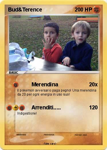 Pokemon Bud&Terence