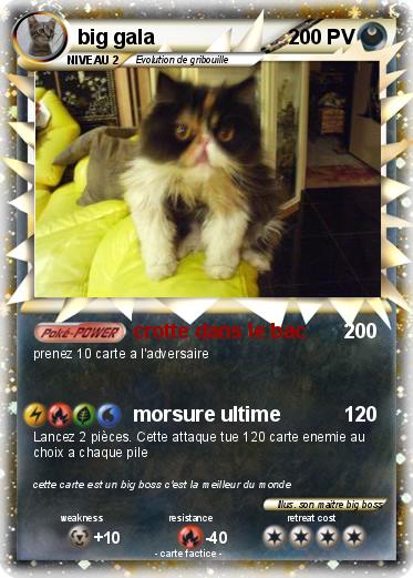 Pokemon big gala