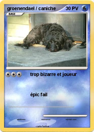 Pokemon groenendael / caniche