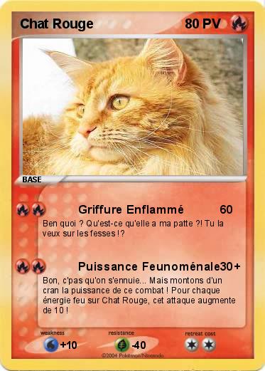 Pokemon Chat Rouge