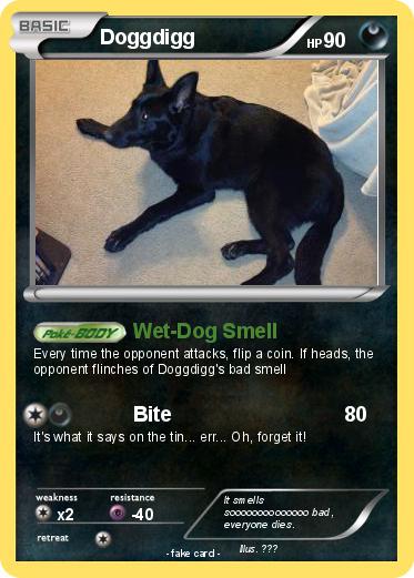 Pokemon Doggdigg