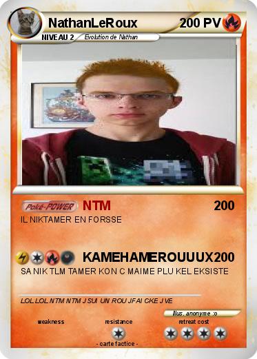 Pokemon NathanLeRoux