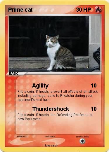 Pokemon Prime cat