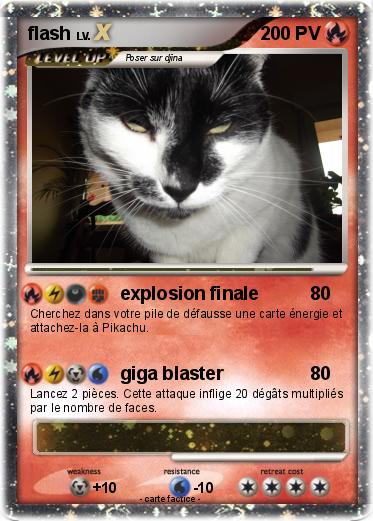 Pokemon flash
