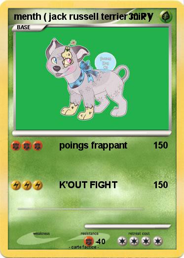 Pokemon menth ( jack russell terrier mix )